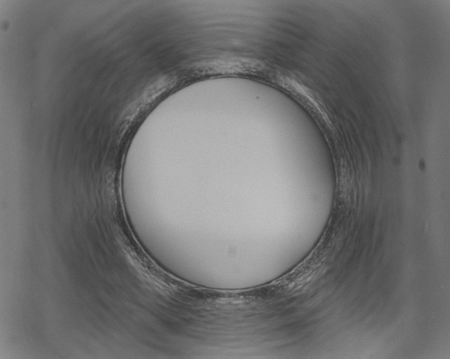 X0000069810394200605190850