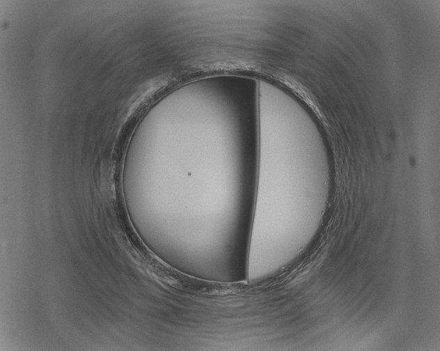 X0000069810395200605190850