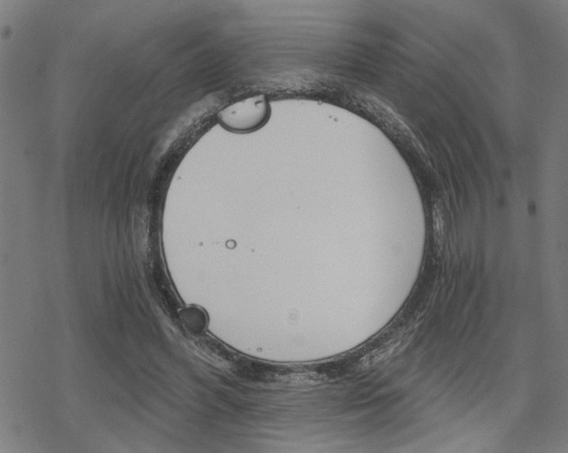 X0000069810396200605190850