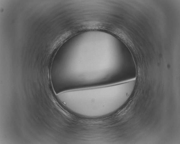 X0000069810397200605190850