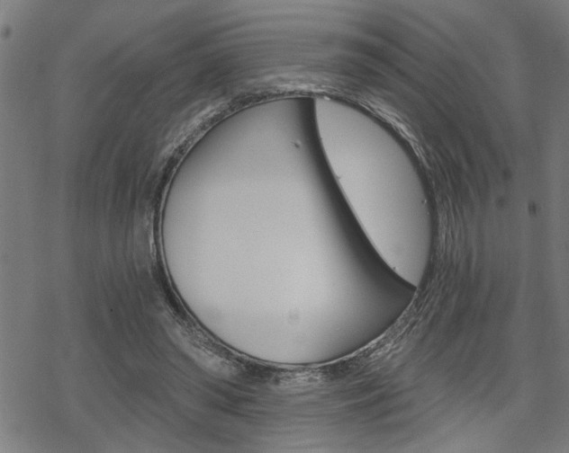 X0000069810398200605190850