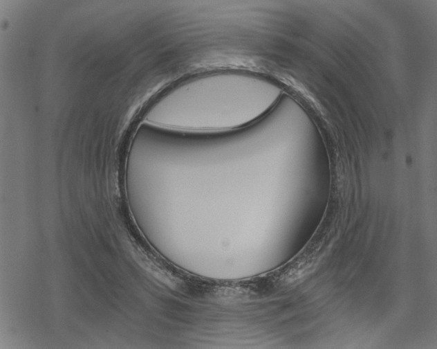 X0000069810399200605190850