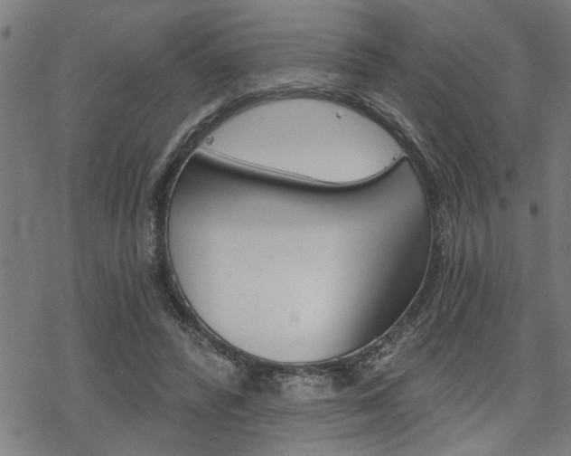 X0000069810400200605190850