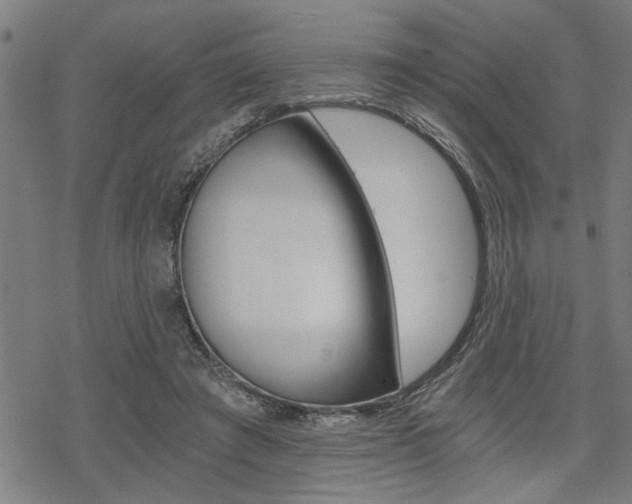 X0000069810401200605190850