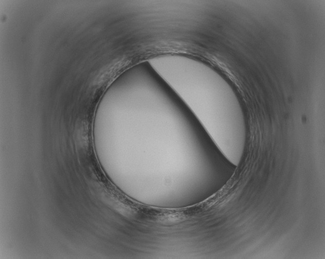 X0000069810402200605190850