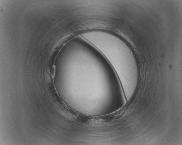 X0000069810403200605190850