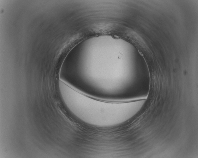 X0000069810404200605190850