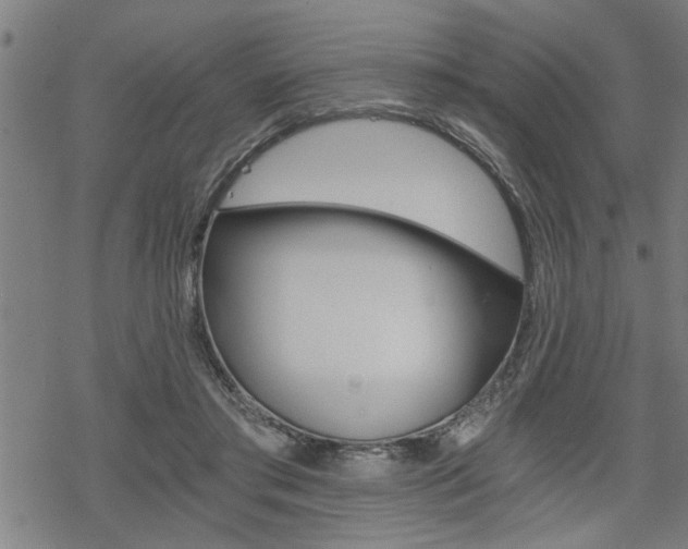 X0000069810405200605190850