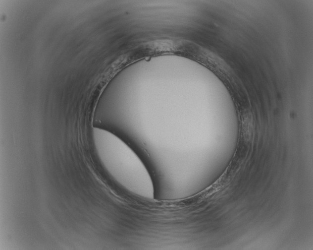 X0000069810406200605190850