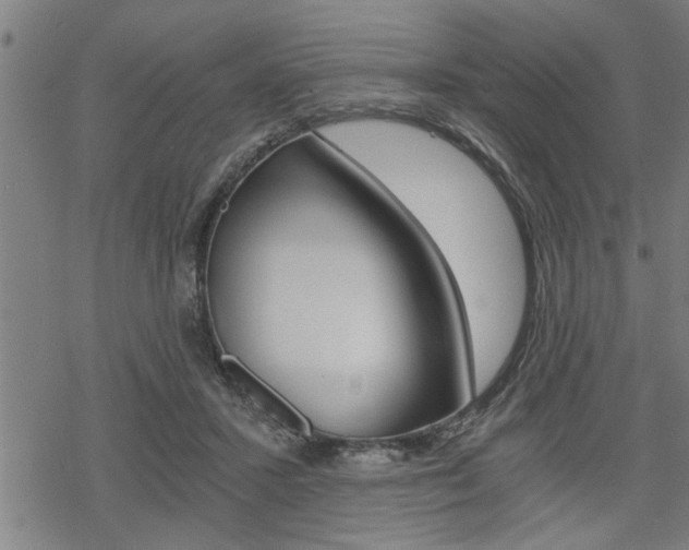 X0000069810407200605190850