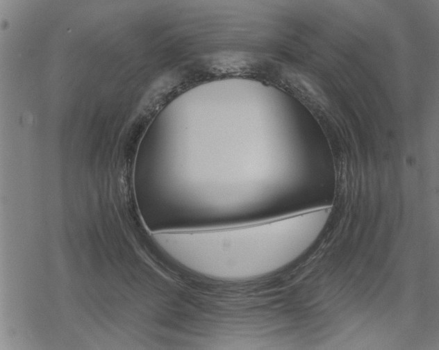 X0000069810408200605190850