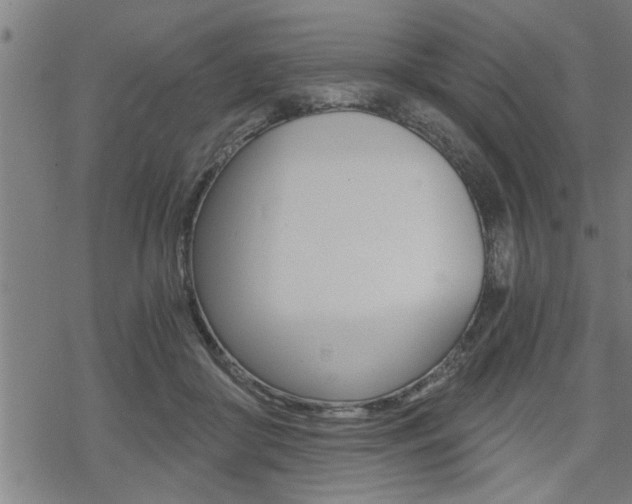 X0000069810410200605190850