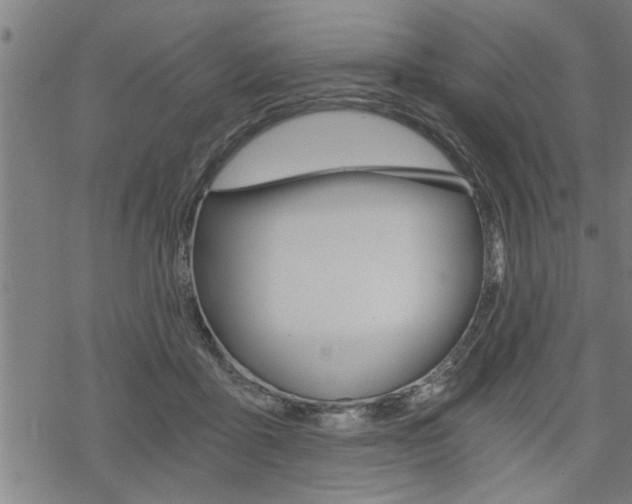 X0000069810411200605190850