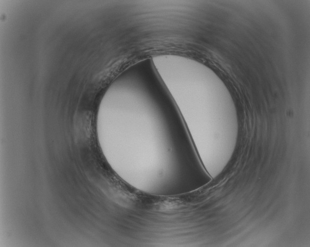 X0000069810412200605190850