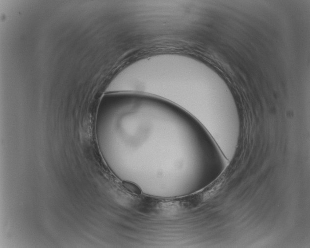 X0000069810413200605190850