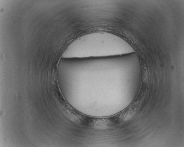 X0000069810414200605190850