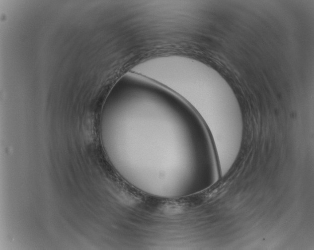 X0000069810416200605190850