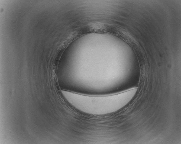 X0000069810417200605190850