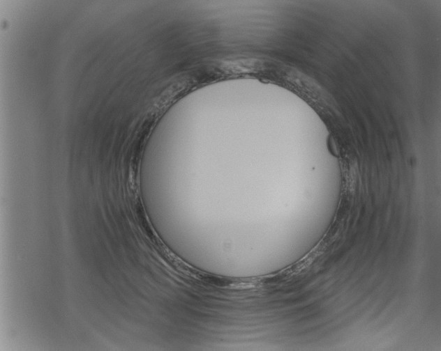 X0000069810418200605190850