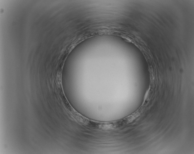 X0000069810419200605190850