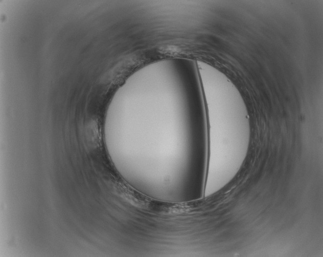 X0000069810420200605190850