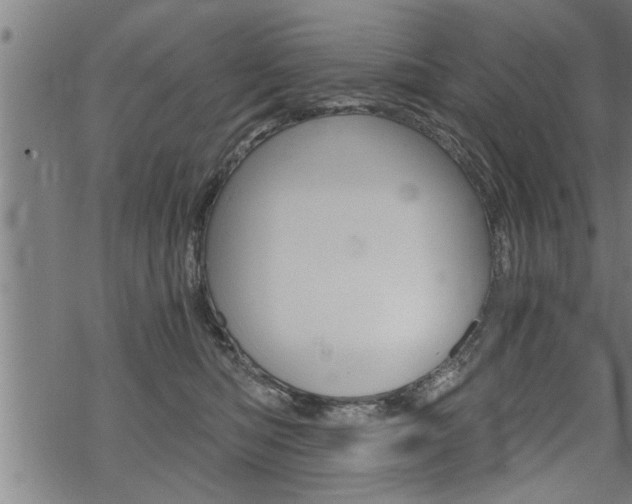 X0000069810422200605190850