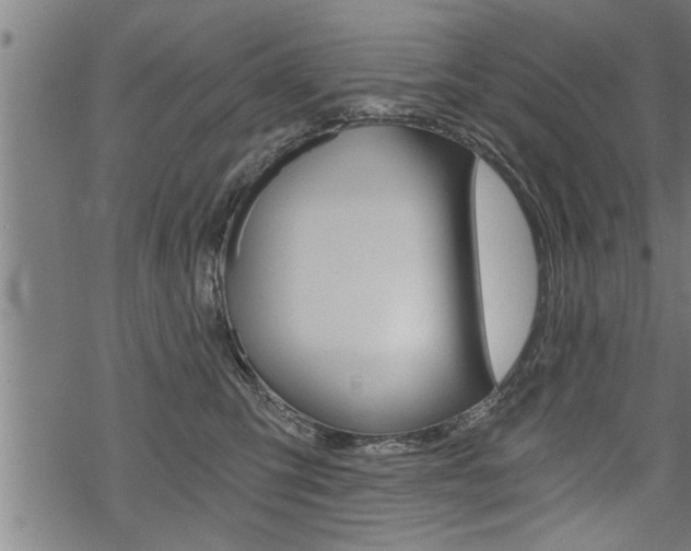 X0000069810423200605190850