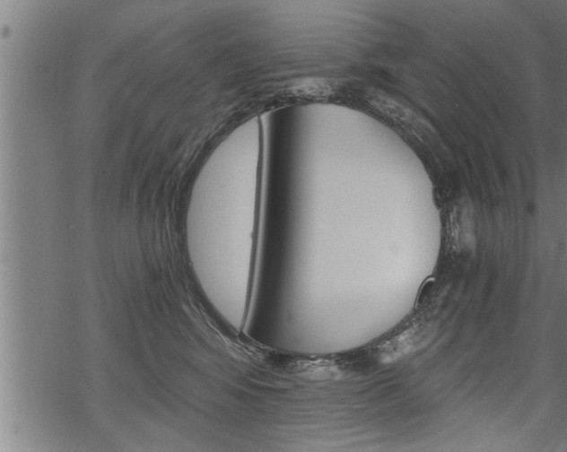 X0000069810424200605190850