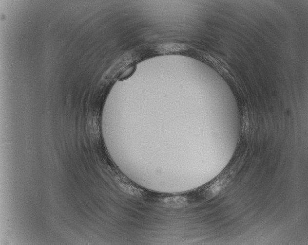 X0000069810426200605190850