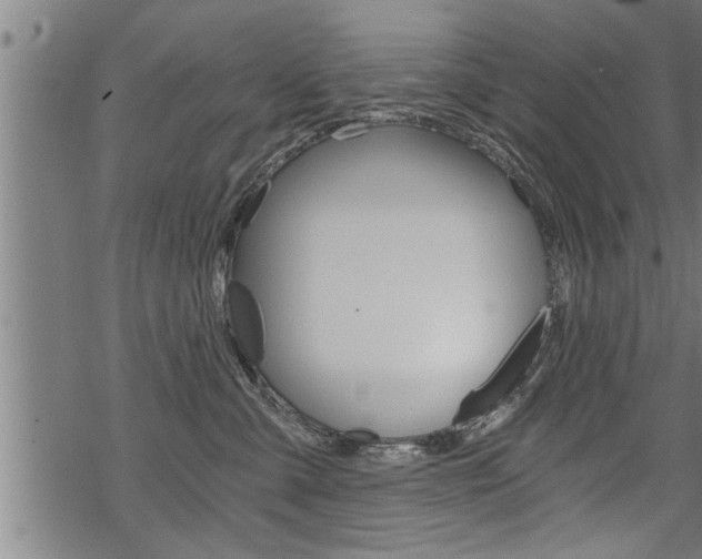 X0000069810427200605190850