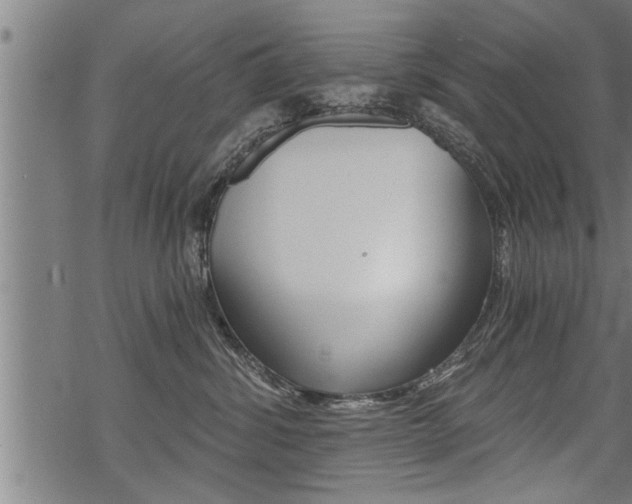 X0000069810428200605190850