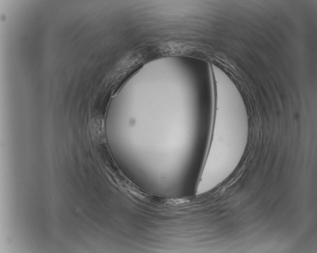 X0000069810429200605190849