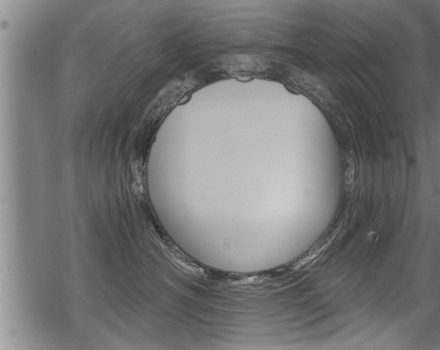 X0000069810430200605190849