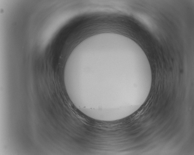 X0000069810431200605190849