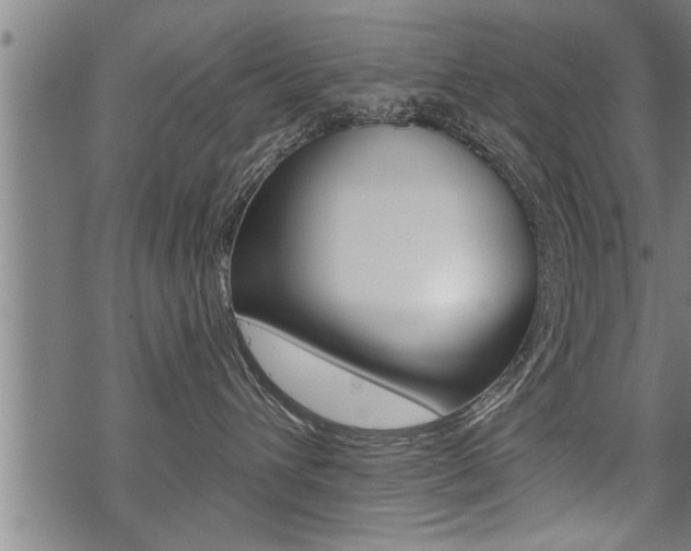 X0000069810432200605190849