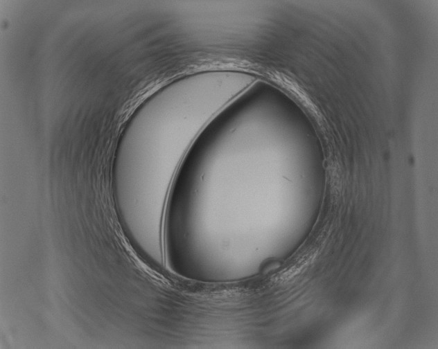 X0000069810433200605190849