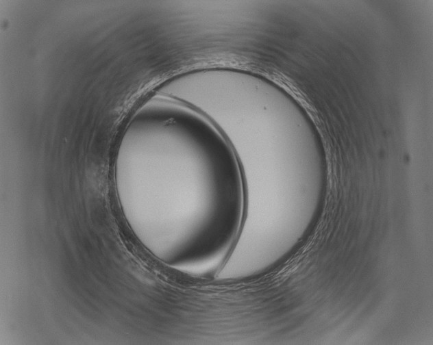 X0000069810434200605190849