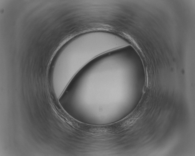 X0000069810435200605190849