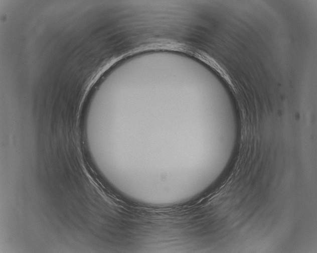 X0000069810436200605190849