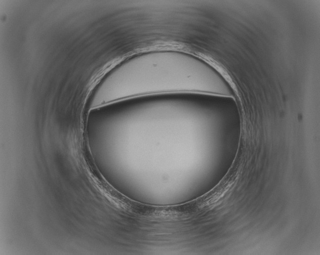 X0000069810437200605190849