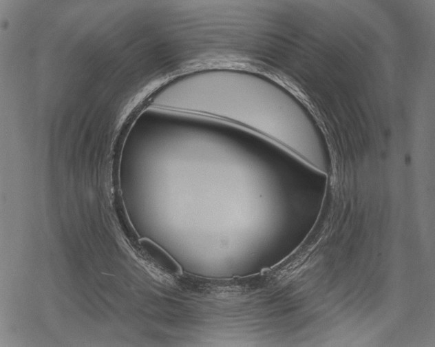 X0000069810438200605190849