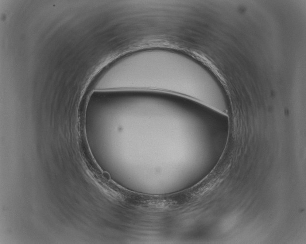 X0000069810439200605190849