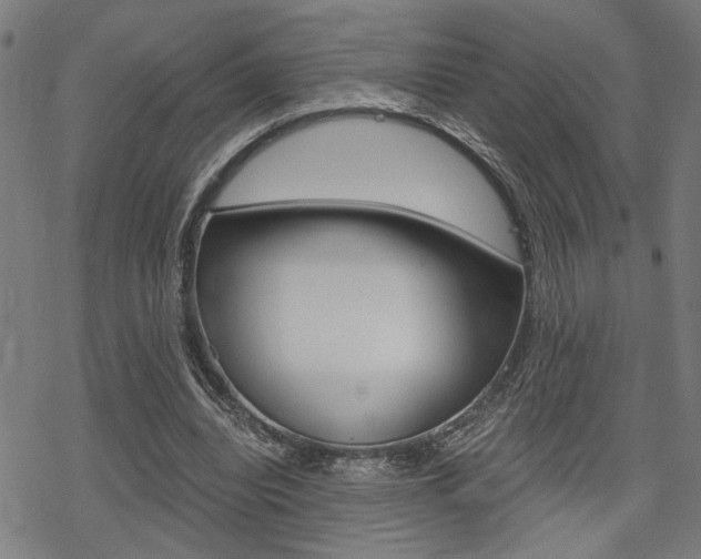 X0000069810440200605190849