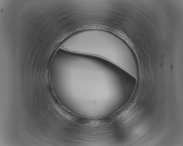 X0000069810441200605190849