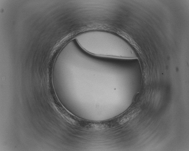 X0000069810442200605190849