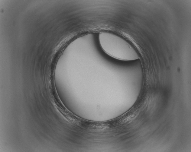 X0000069810443200605190849