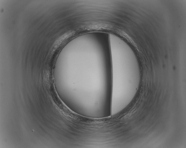 X0000069810444200605190849