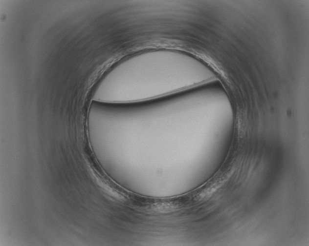 X0000069810445200605190849