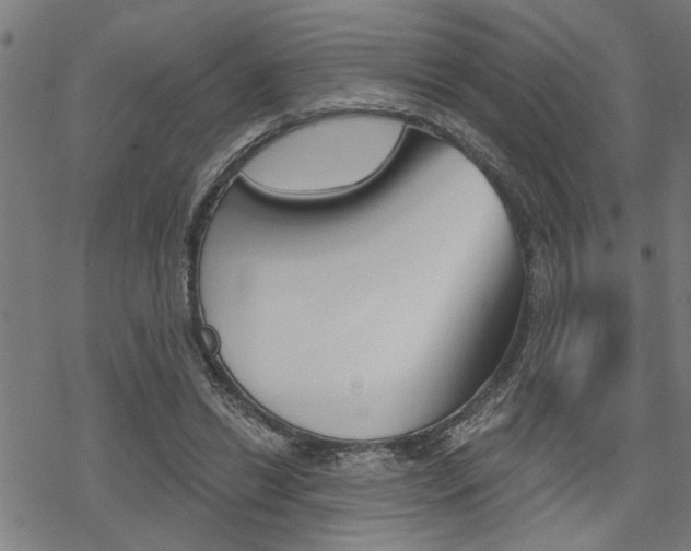 X0000069810446200605190849