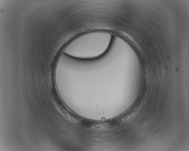 X0000069810447200605190849